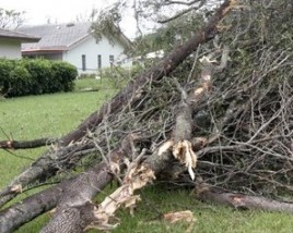 Storm debris removal.