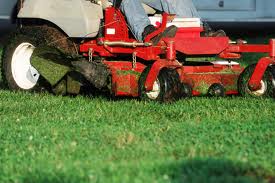 Mowing and trimming.