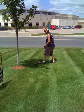 Mowing and trimming.