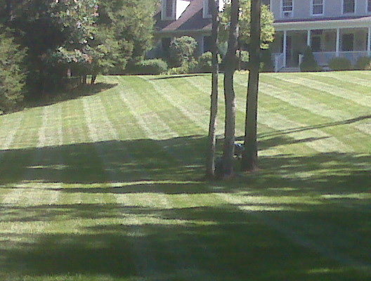 Mowing and trimming.
